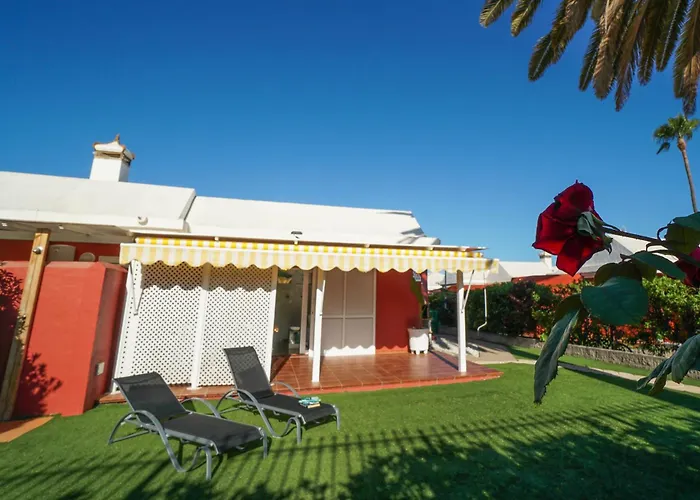 Los albaricoques Maspalomas 